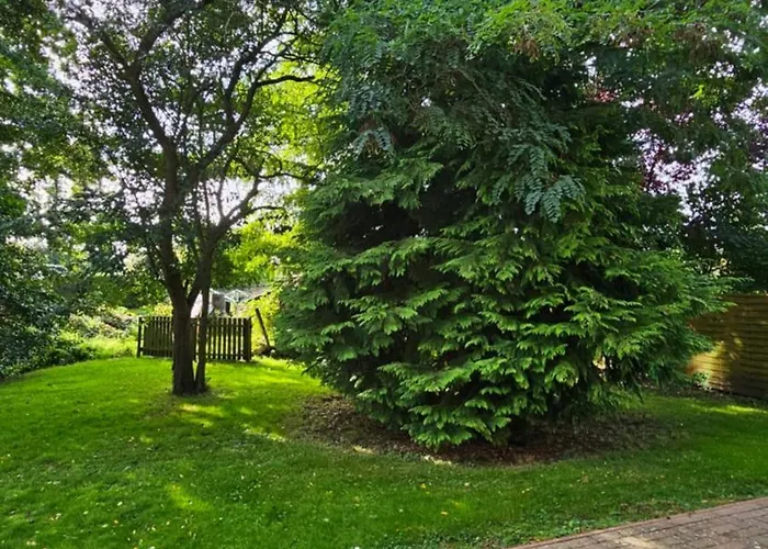 Apartment Usedom